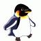 PinguinuAlex