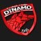 dinamo2014