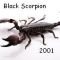 BlackScorpion2001