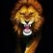 LionKiller7